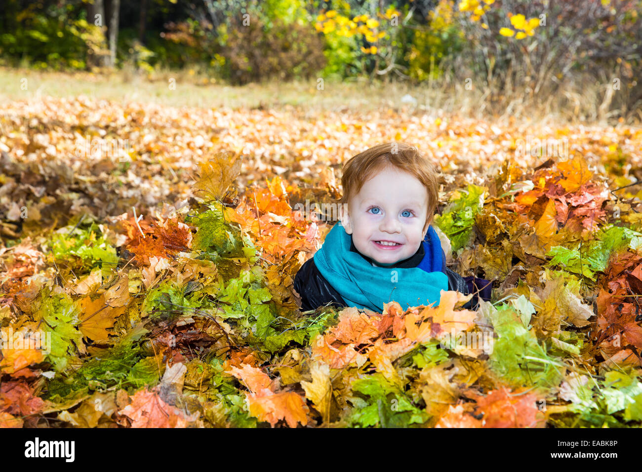 Caduta. Adorabile bambino ragazzo con le foglie in autunno park Foto Stock