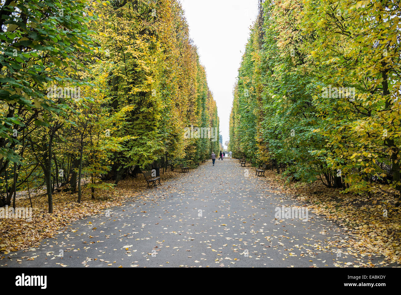 Parco Oliwski in Gdansk, Polonia Foto Stock