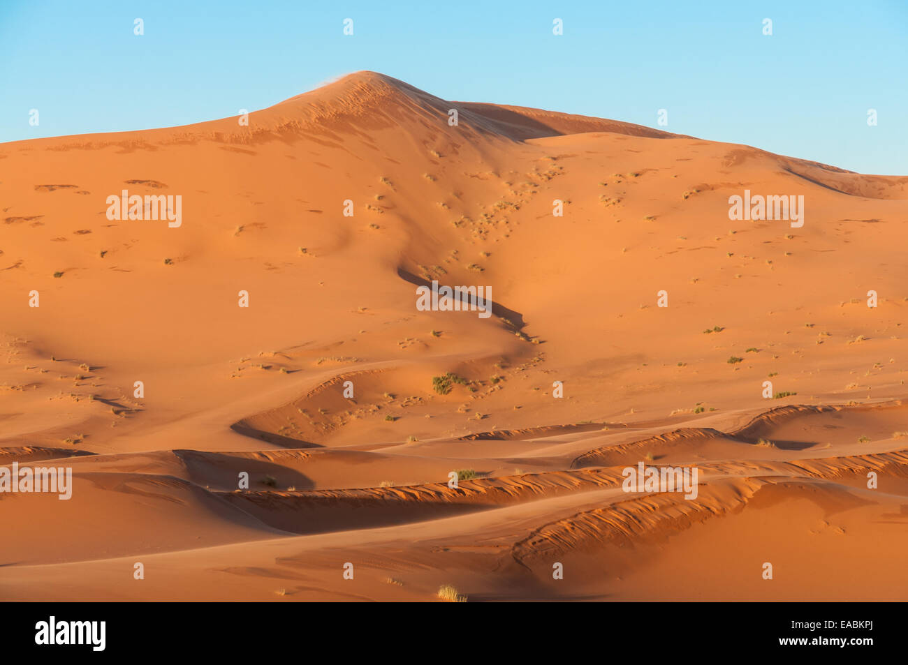 Dune di sabbia nel deserto del Sahara in Marocco Foto Stock