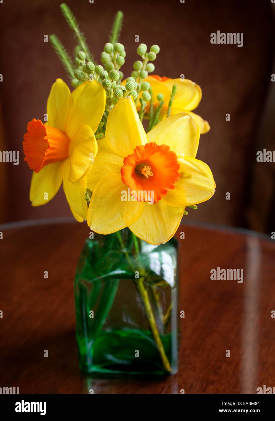 Piccolo bouquet di primavera narcisi sul tavolo Foto Stock