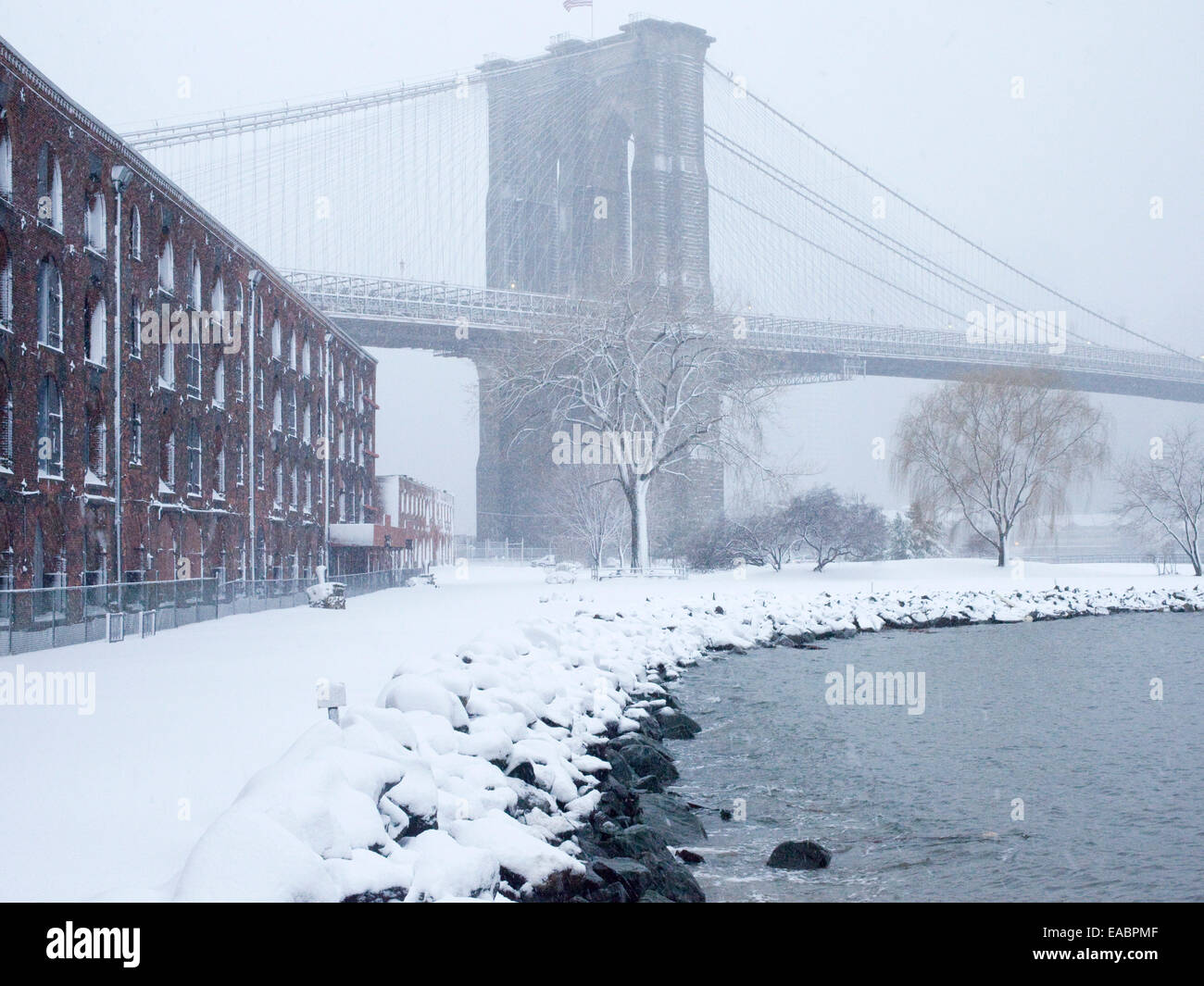 Albero e la torre del ponte di Brooklyn in tempesta di neve Foto Stock