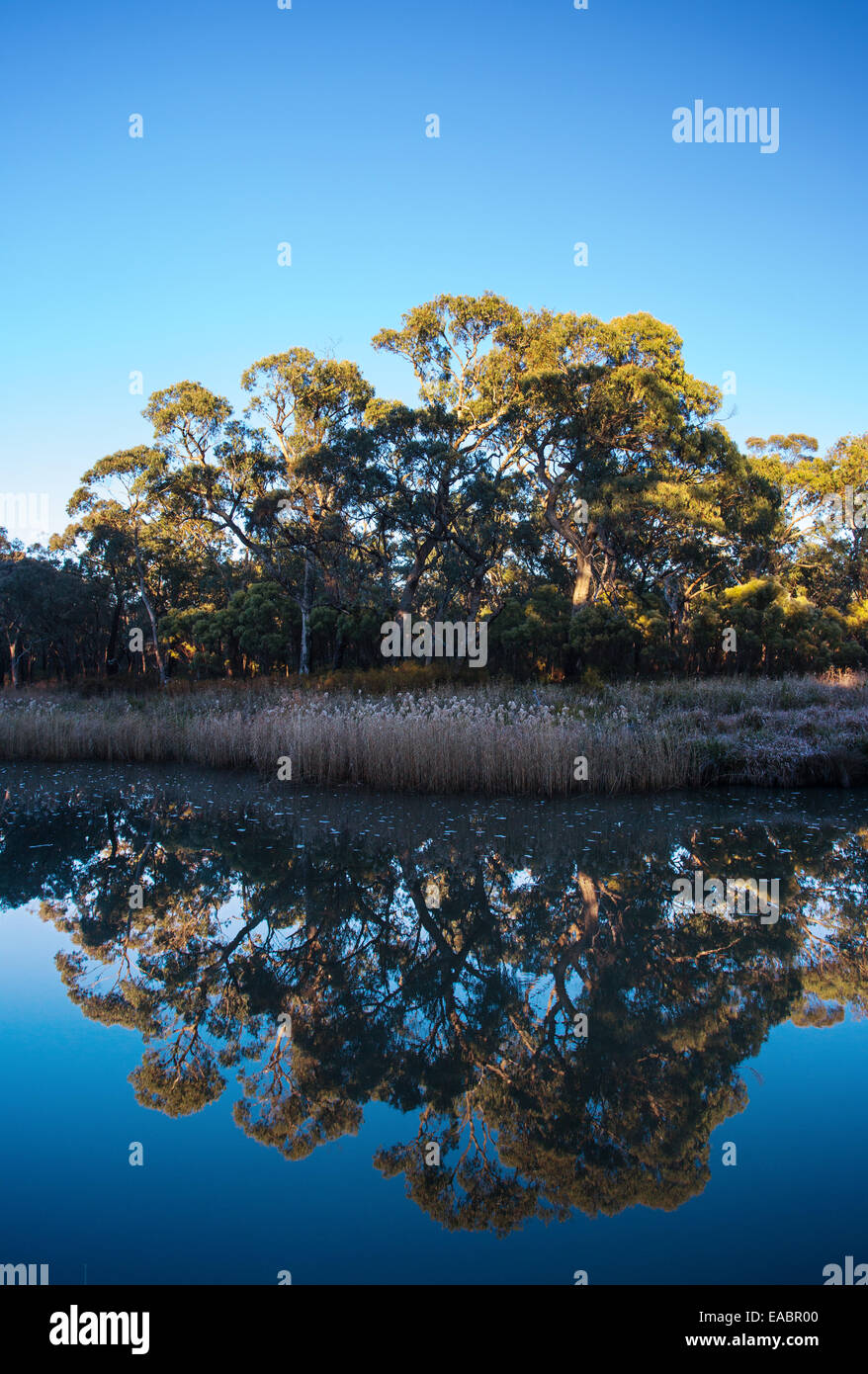 Fiume e bushland in Kings pianure National Park, NSW, Australia Foto Stock