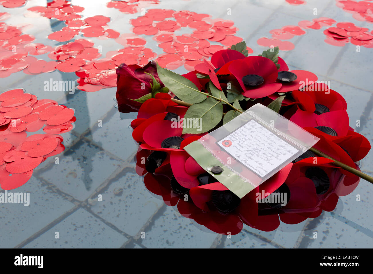 Londra, Regno Unito. 11 Novembre, 2014. Un solitario ghirlanda di papavero con un messaggio di riconoscenza ai soldati galleggia in una fontana in Trafalgar Square il giorno dell'armistizio. Credito: Nick Savage/Alamy Live News Foto Stock