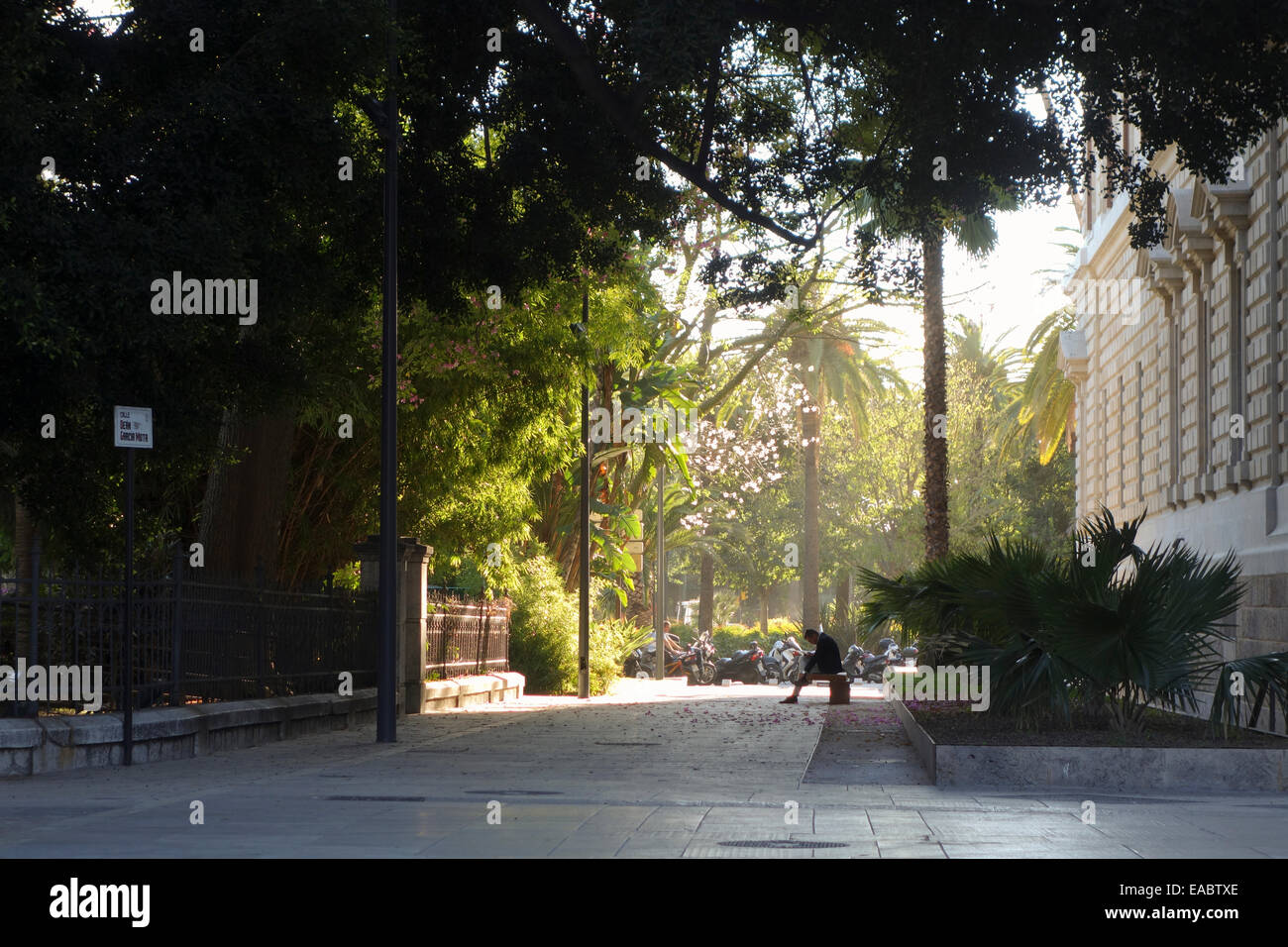 Street view a Malaga, uomo seduto sulla panchina del parco ombra la lettura del libro. Dietro il municipio di Malaga, Andalusia. Spagna. Foto Stock