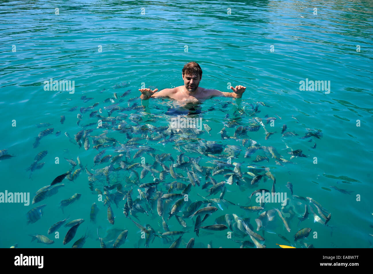 Brasile Rio de Janeiro membro Paraty tourist in acqua circondato da pesce Foto Stock