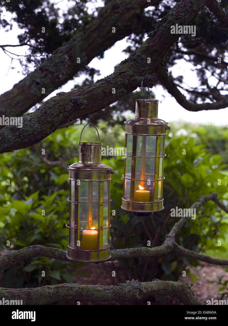 Candele in lanterne appese da albero al tramonto Foto stock - Alamy