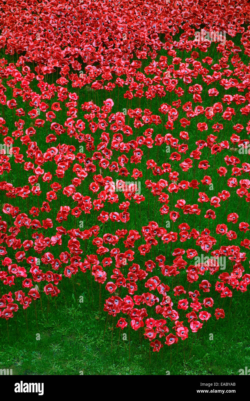 Torre di Londra Poppy Papaveri sangue Sweep Terre e mari di Rosso UK Fotografia