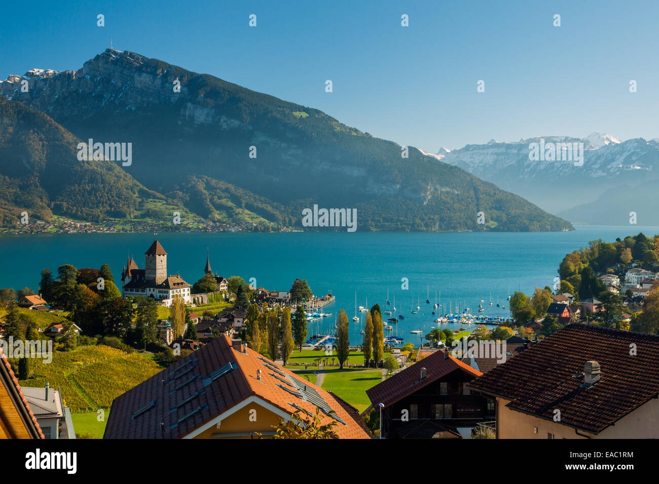 La città di Spiez e il Lago di Thun, Svizzera Foto Stock