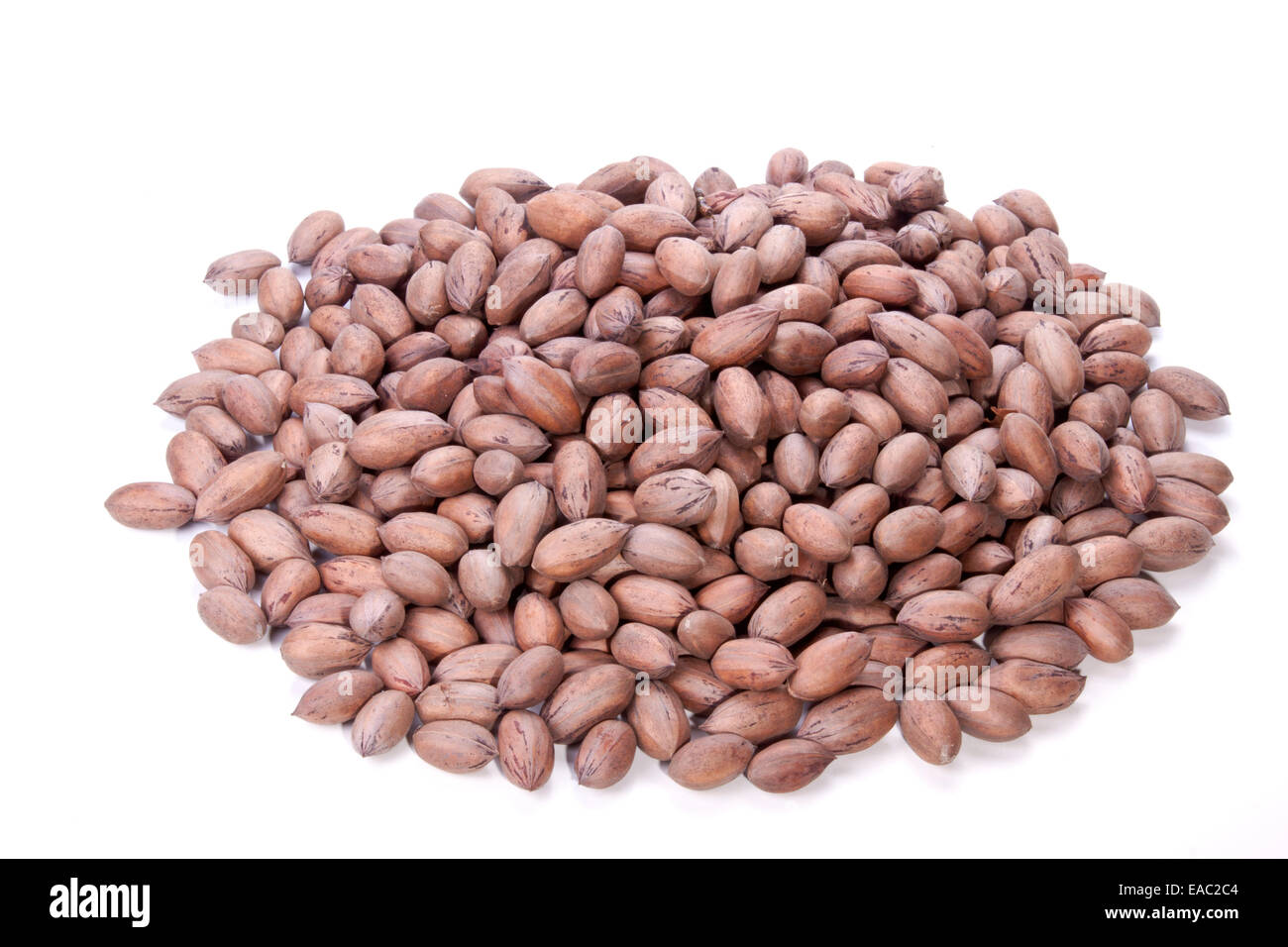 Pila di intero marrone senza guscio di noci pecan Foto Stock