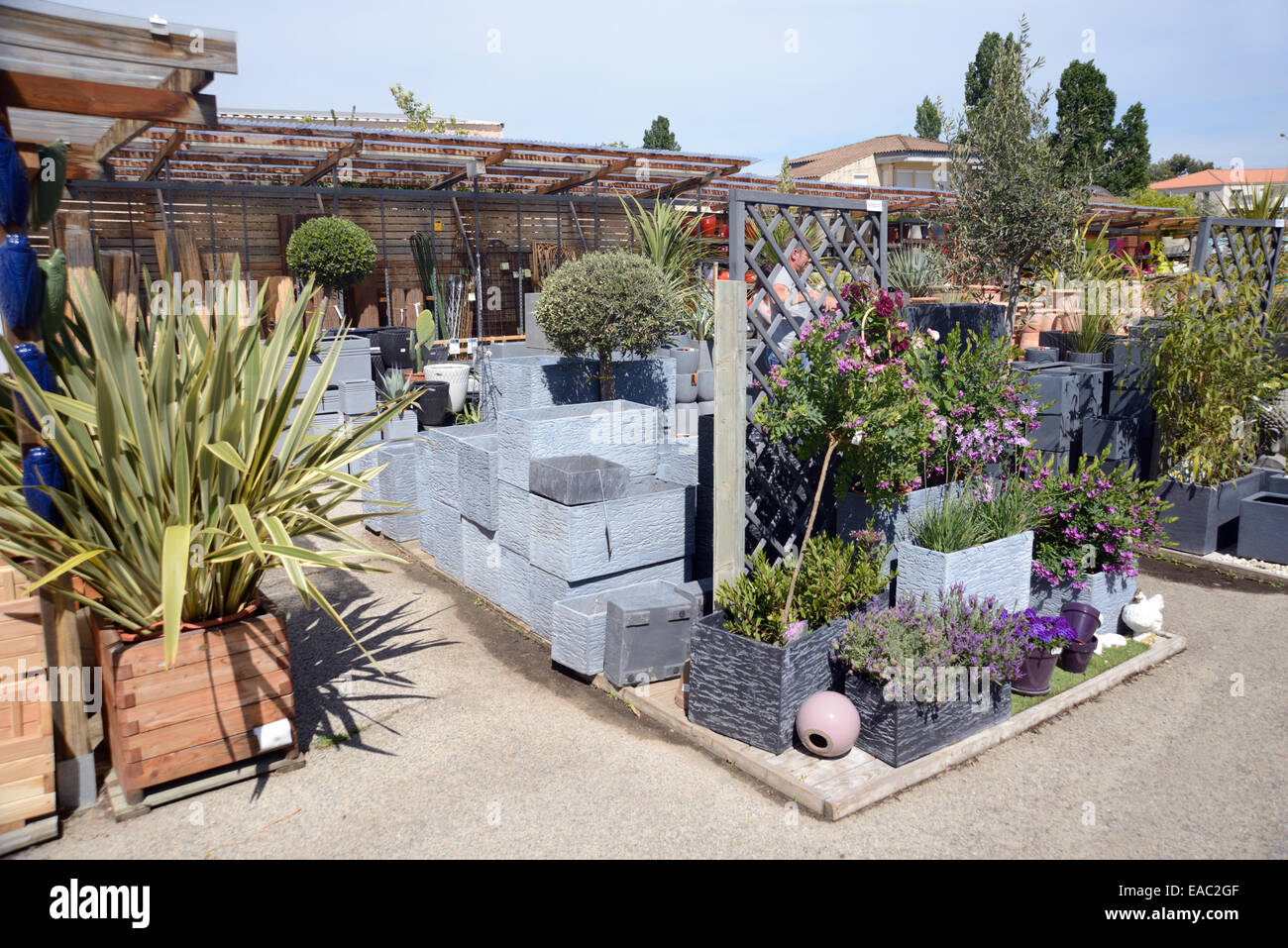 Elegante colore grigio o grigio piantatrici o vasi per piante con display di piante succulente e lavanda per la vendita nel Centro giardino Foto Stock