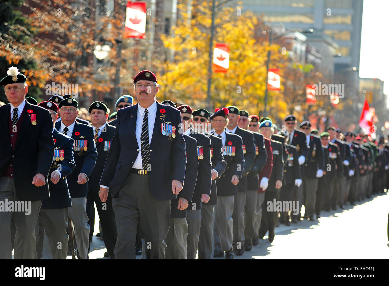 London, Ontario, Canada. 11 Novembre, 2014. Il passato e il presente dei membri della Canadian servizi armati e i membri del pubblico a raccogliere il cenotafio in London, Ontario per osservare il giorno del ricordo. Su questo pubblico su tutto il territorio nazionale per le vacanze europee tenere cerimonie a pagare rispetto ai caduti. Credito: Jonny bianco/Alamy Live News Foto Stock