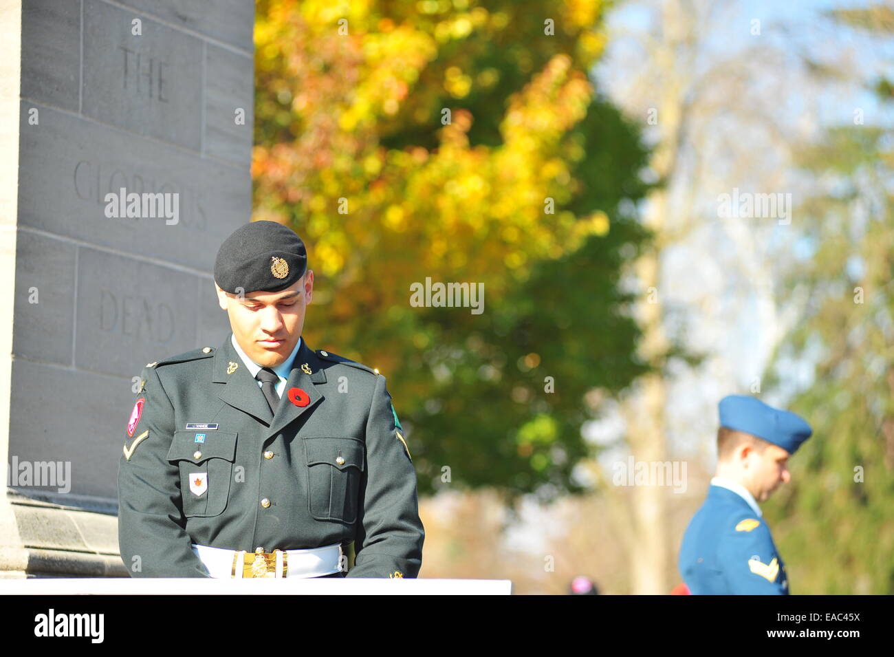 London, Ontario, Canada. 11 Novembre, 2014. Il passato e il presente dei membri della Canadian servizi armati e i membri del pubblico a raccogliere il cenotafio in London, Ontario per osservare il giorno del ricordo. Su questo pubblico su tutto il territorio nazionale per le vacanze europee tenere cerimonie a pagare rispetto ai caduti. Credito: Jonny bianco/Alamy Live News Foto Stock