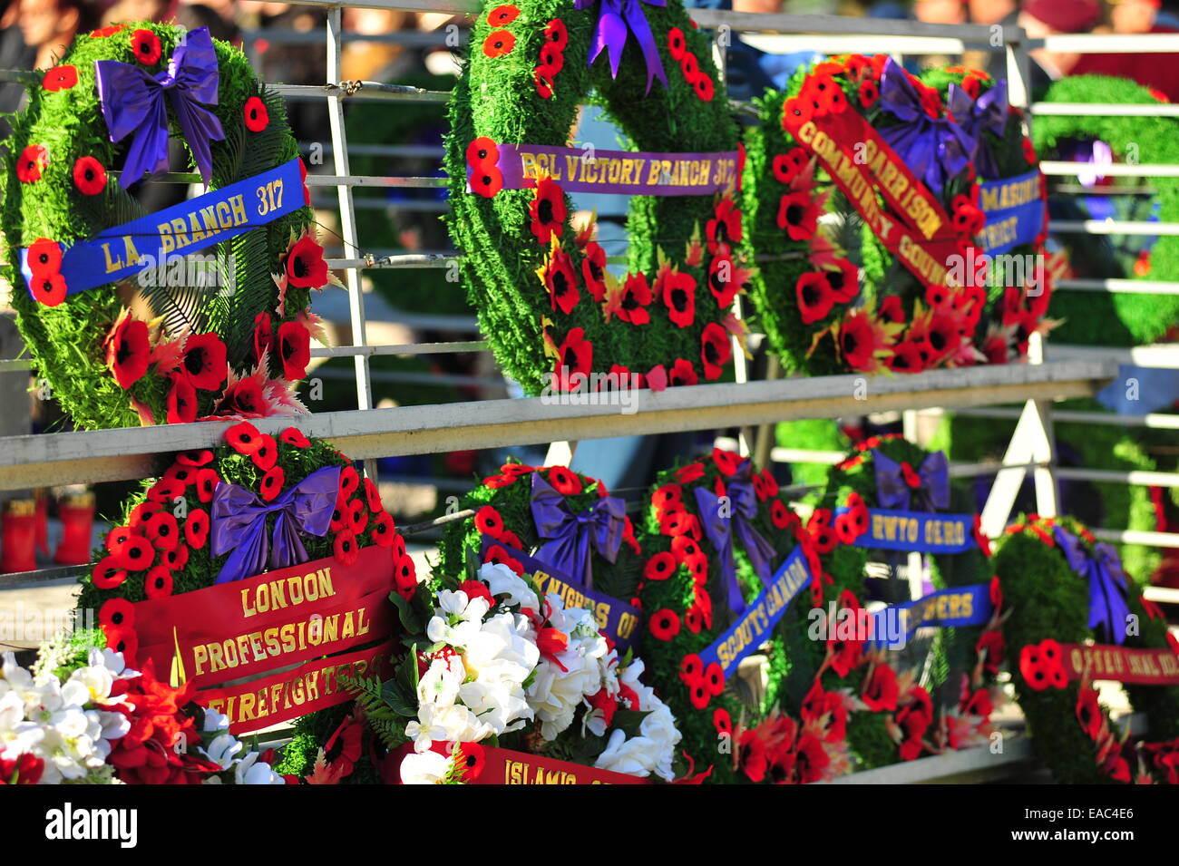 London, Ontario, Canada. 11 Novembre, 2014. Il passato e il presente dei membri della Canadian servizi armati e i membri del pubblico a raccogliere il cenotafio in London, Ontario per osservare il giorno del ricordo. Su questo pubblico su tutto il territorio nazionale per le vacanze europee tenere cerimonie a pagare rispetto ai caduti. Credito: Jonny bianco/Alamy Live News Foto Stock