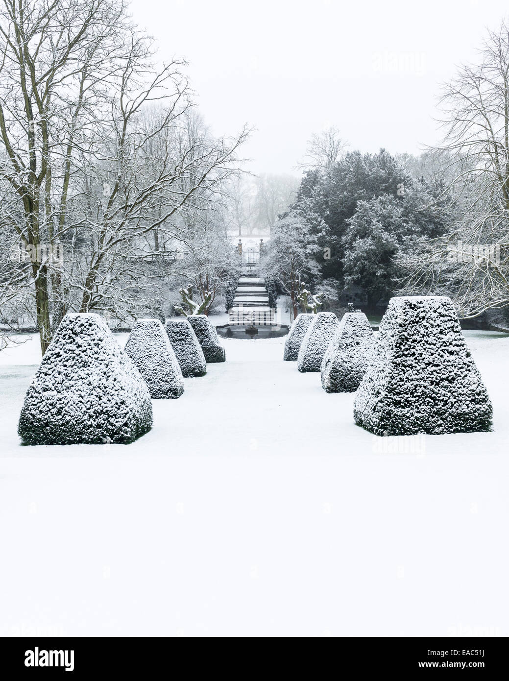 Vista Wintery guardando verso il basso attraverso il giardino con topiaria da e fino al cancello di ingresso Foto Stock