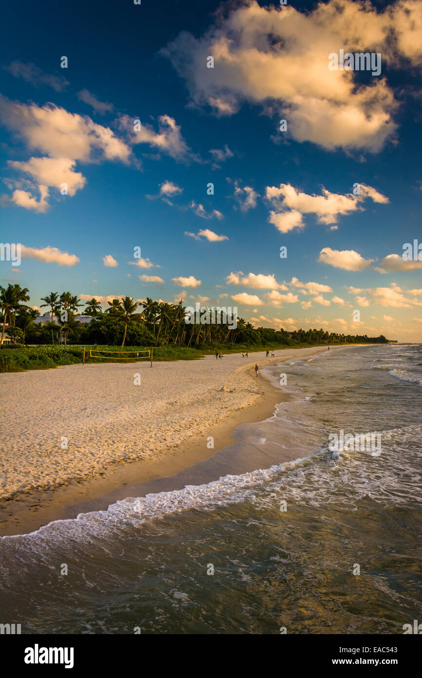 Vista della spiaggia dal molo di pesca in Naples, Florida. Foto Stock