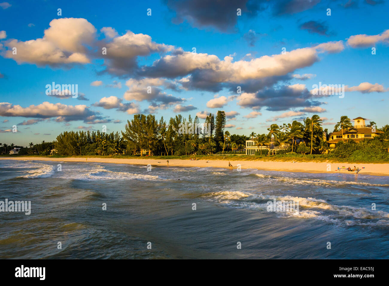 Vista della spiaggia dal molo di pesca in Naples, Florida. Foto Stock