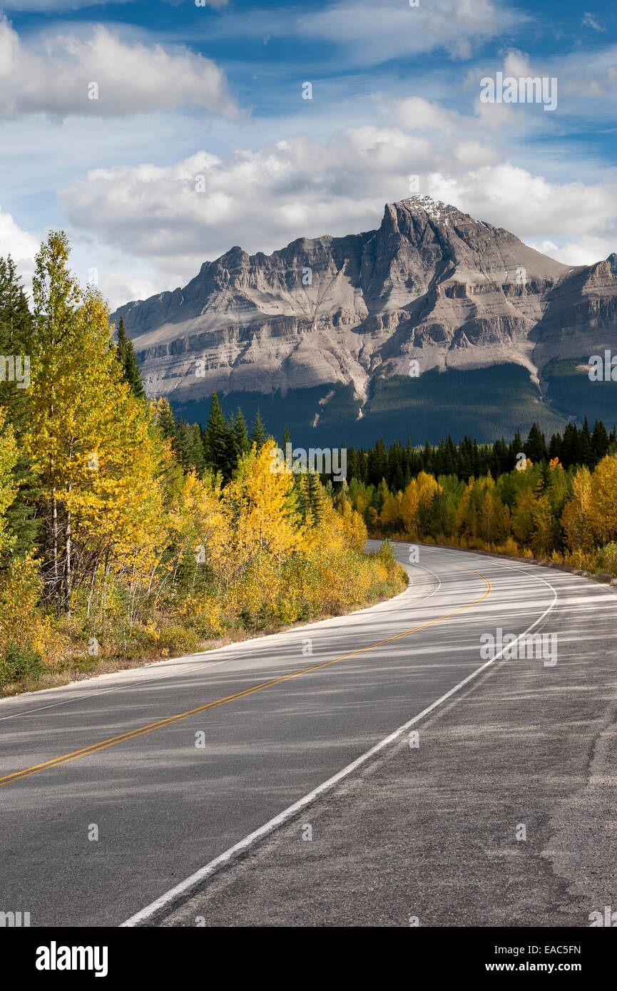 Le Montagne Rocciose in autunno, il Parco Nazionale di Jasper, Alberta, Canada Foto Stock