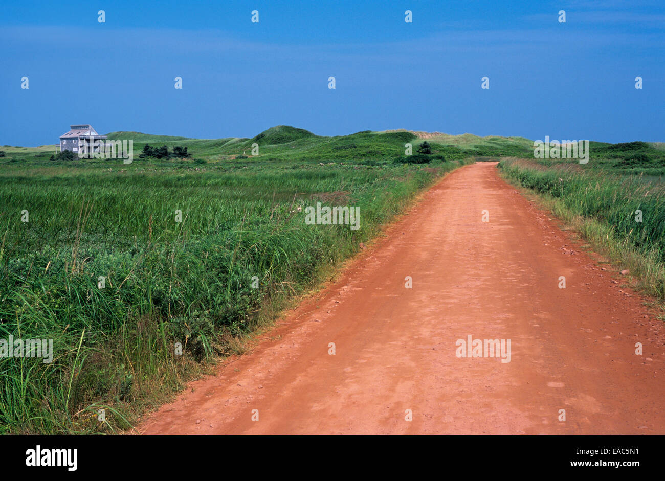La sporcizia country road in Prince Edward Island, Canada. Il rossore del suolo è dovuta alla elevata ossido di ferro contenuto. Foto Stock