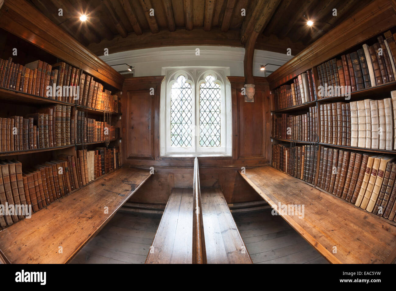 Il cuoio di libri rilegati in cattedrale biblioteca, Cattedrale di Wells Somerset Foto Stock