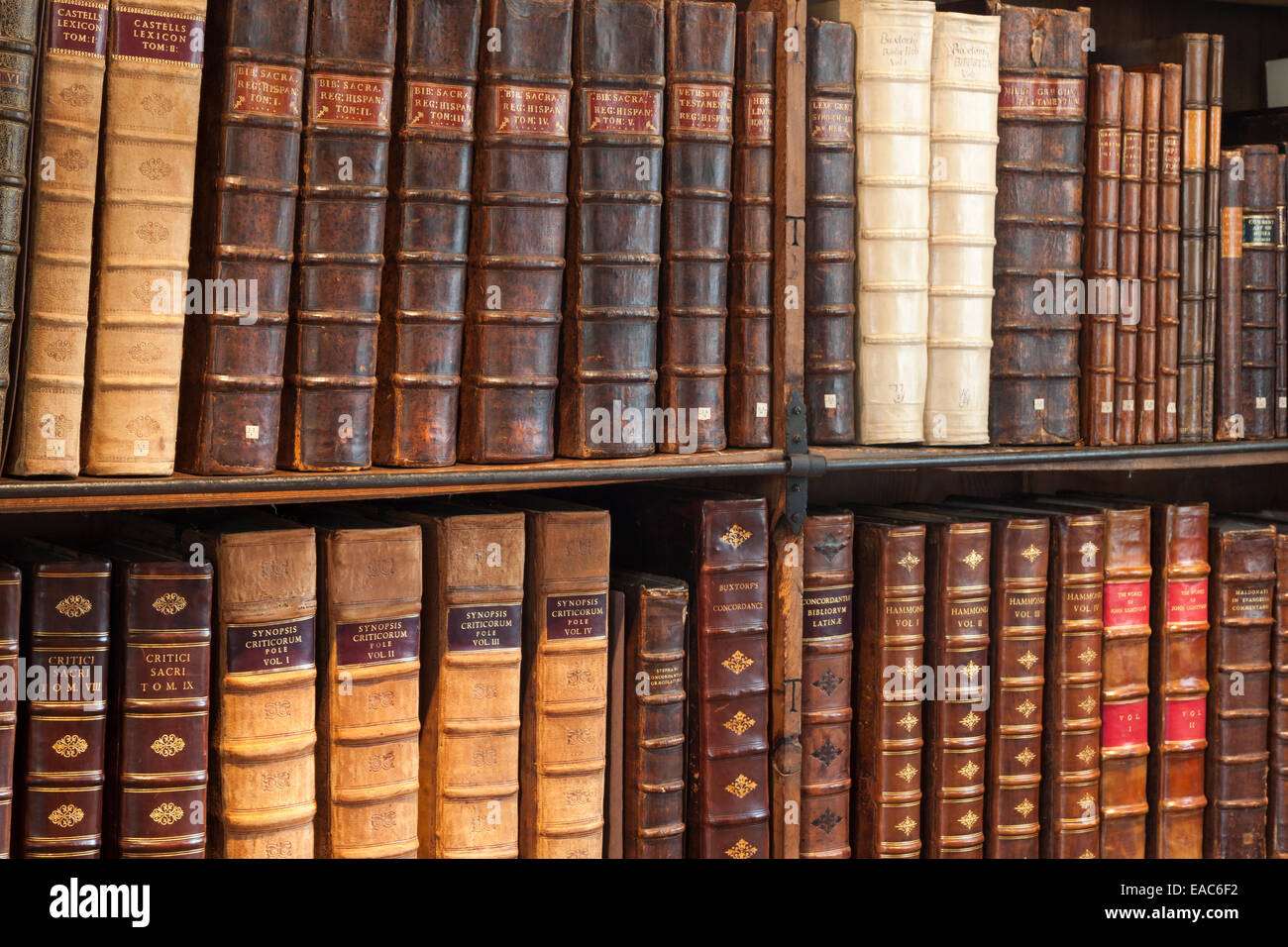 Il cuoio di libri rilegati in cattedrale biblioteca, Cattedrale di Wells Somerset Foto Stock