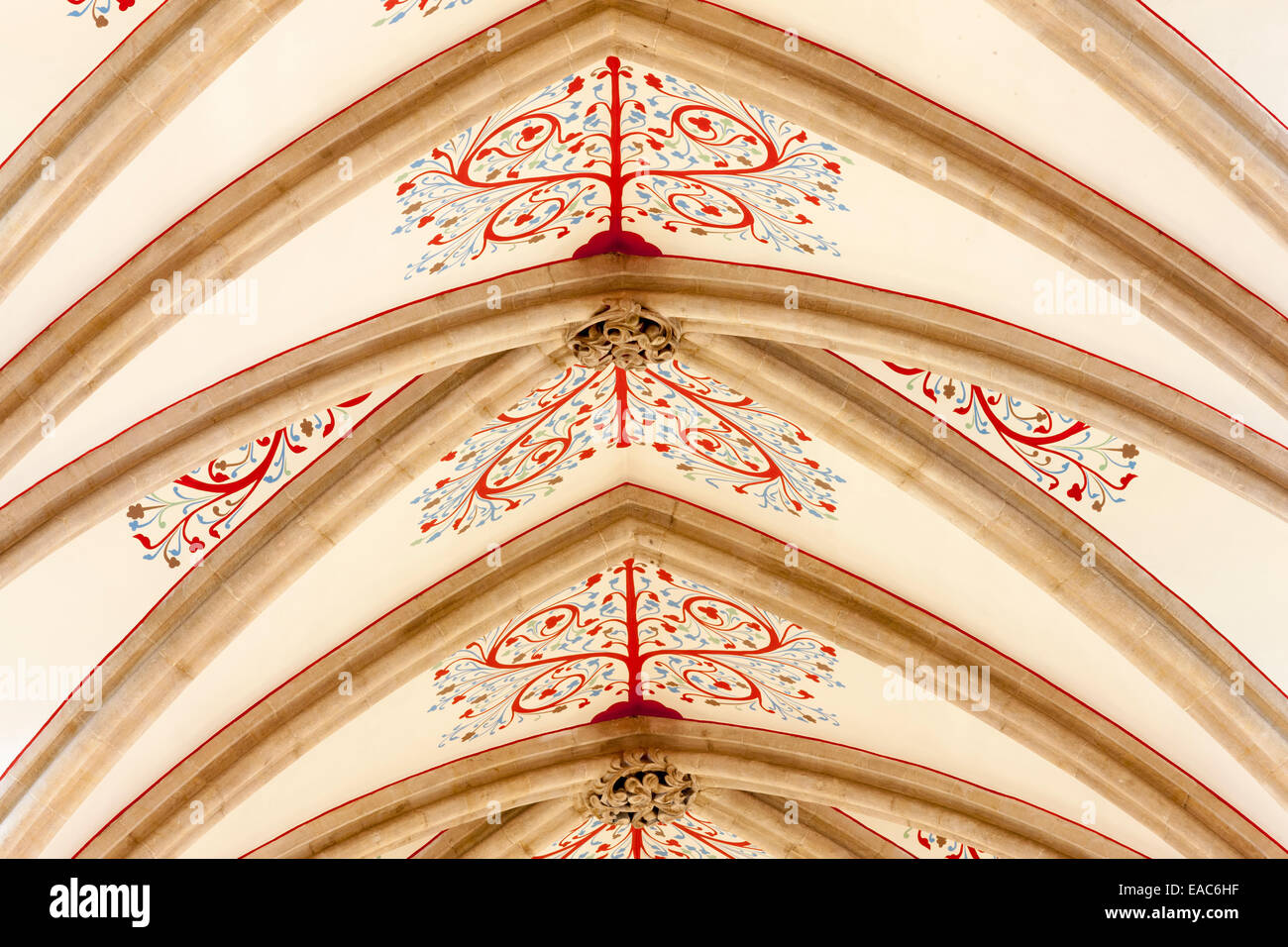 Soffitto decorato con soffitto a volta in pietra e il soffitto dipinto borchie, Cattedrale di Wells Somerset Foto Stock