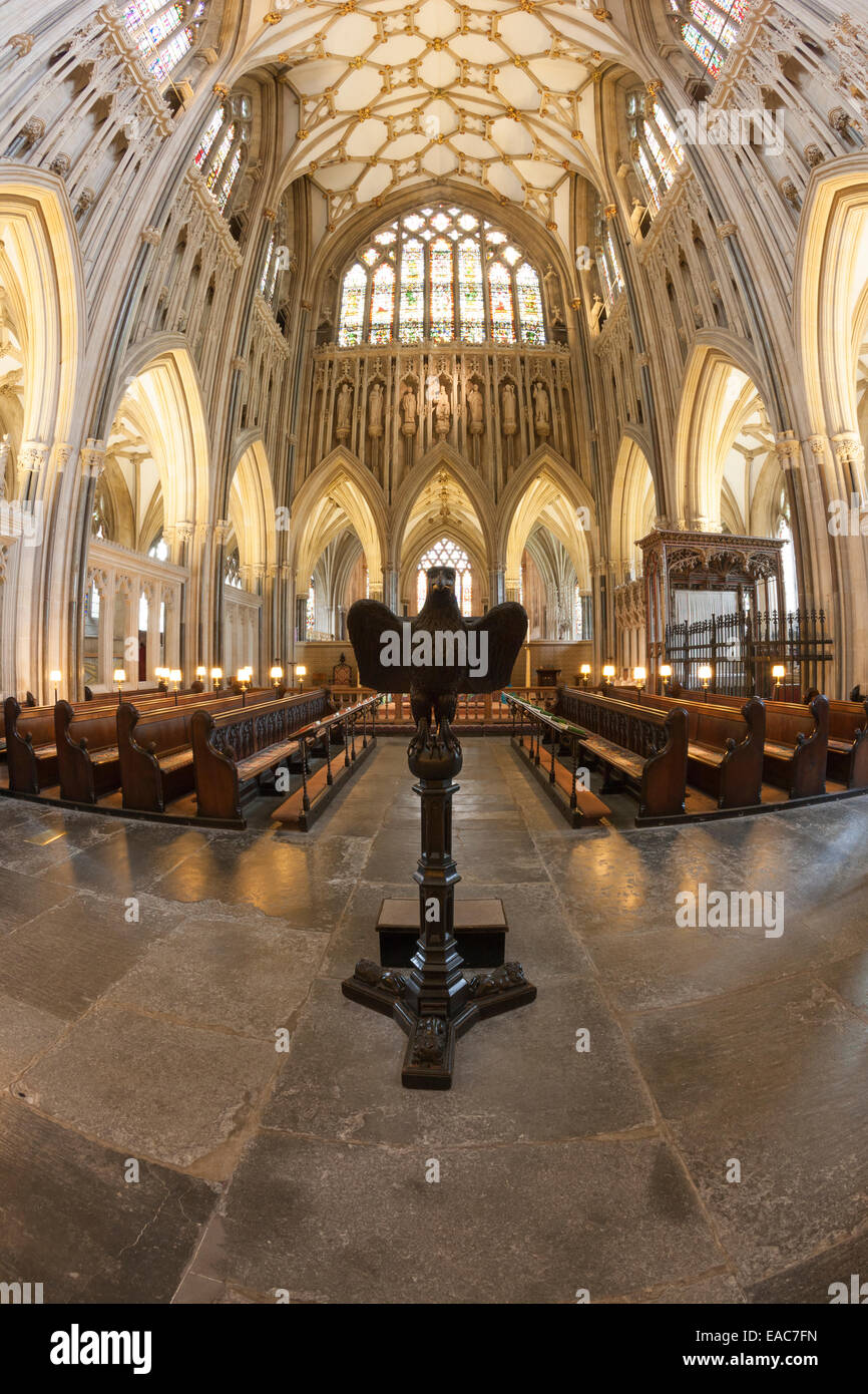 Il legno intagliato eagle ambone della Cattedrale di Wells nel Somerset Foto Stock