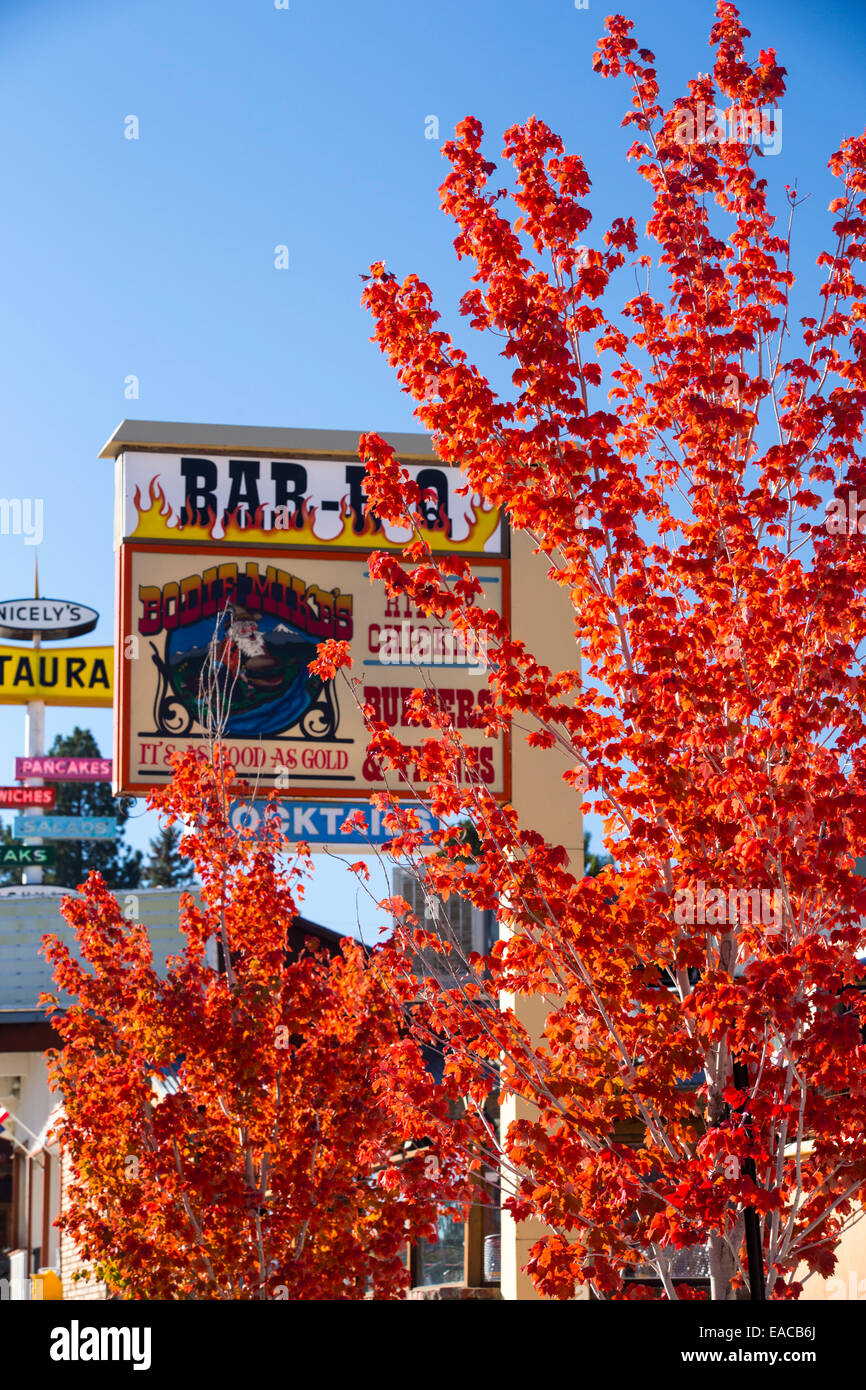I colori dell'autunno in Lee Vining, Mono Lake in California, Stati Uniti d'America. Foto Stock