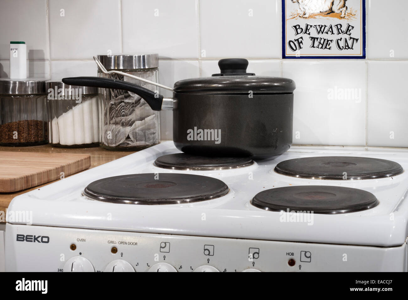 Diffidate di Cat Foto Stock