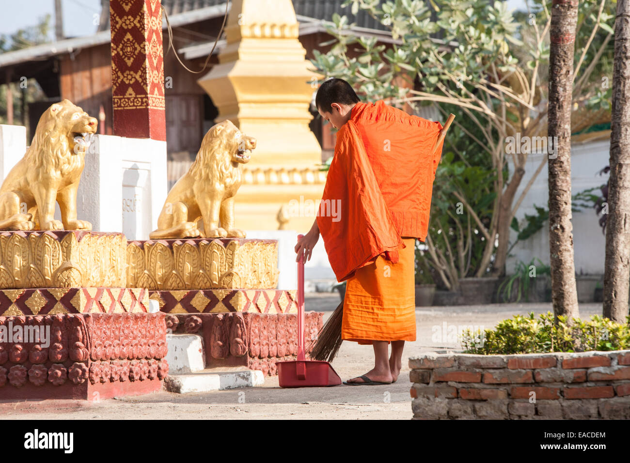 Monaco buddista di Tempio di pulizia a Ban Xang Khong village vicino a Luang Prabang, Laos, Asia sud-orientale, Asia Foto Stock