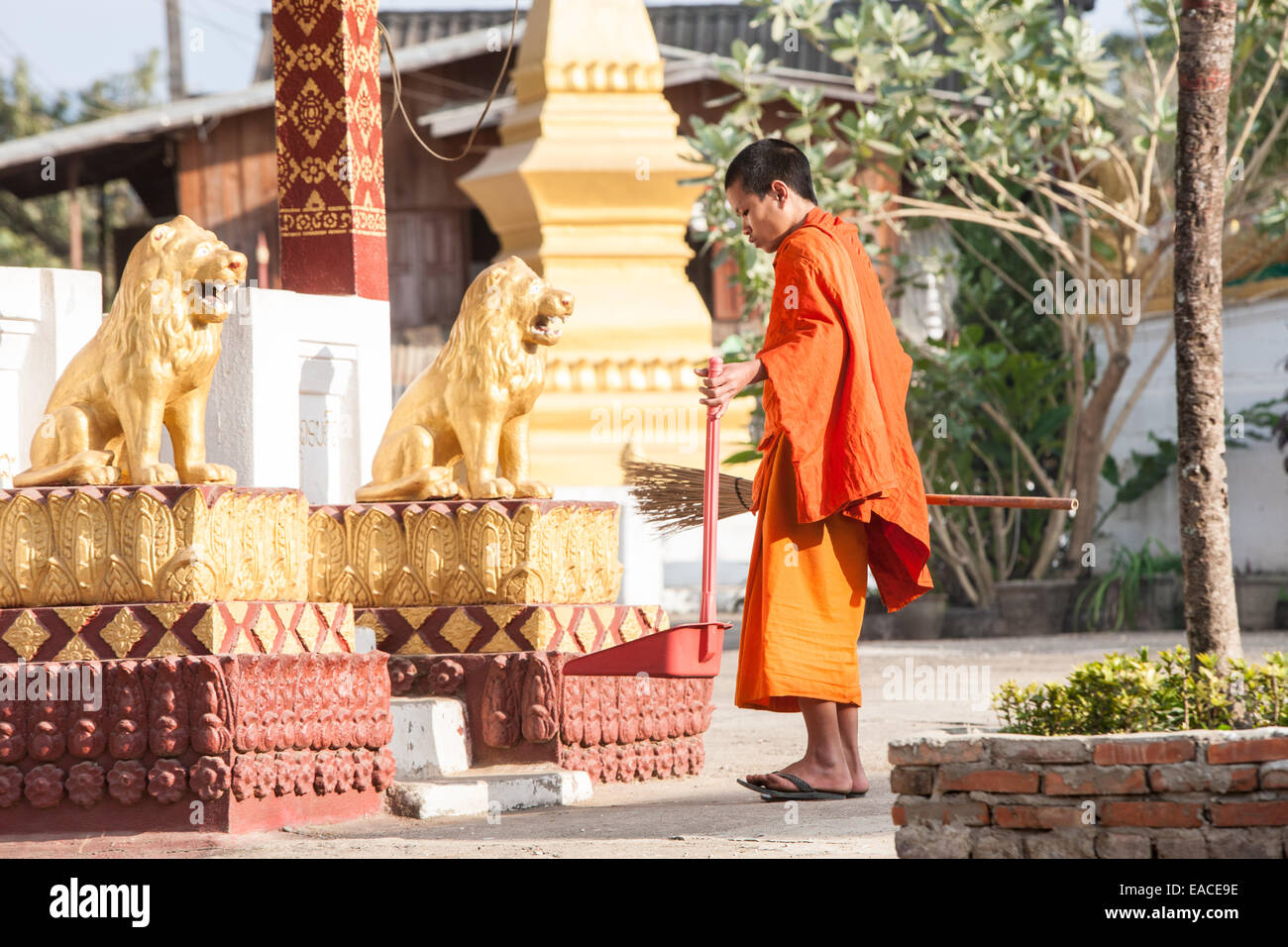 Monaco buddista di Tempio di pulizia a Ban Xang Khong village vicino a Luang Prabang, Laos, Asia sud-orientale, Asia Foto Stock
