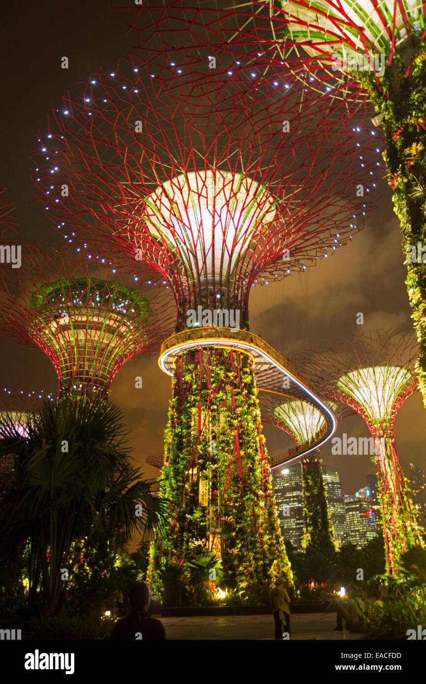 Immenso supertrees accesa contro il cielo notturno in spettacolare display notturna di Singapore i giardini della baia Foto Stock