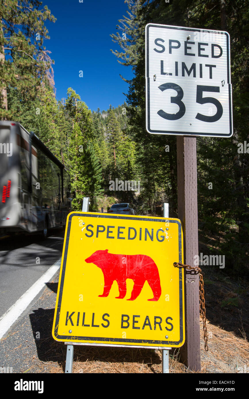 Un giallo Spped uccide porta segno nel Parco Nazionale di Yosemite, ogni segno segna un punto in cui un orso è stato ucciso da traffico, California, USA. Foto Stock