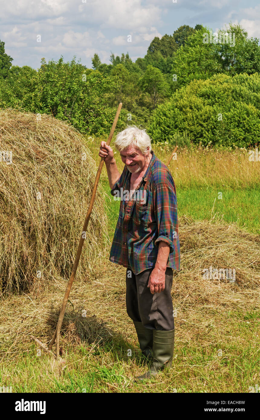 Essiccazione del fieno, trasporto e haystacks per mucche e cavalli nel villaggio. Foto Stock