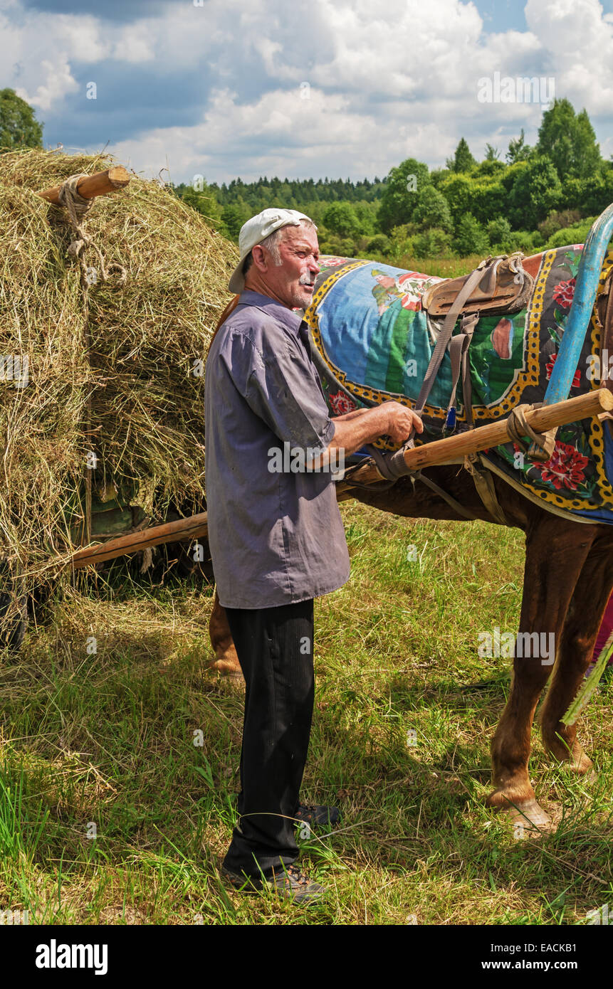 Essiccazione del fieno, trasporto e haystacks per mucche e cavalli nel villaggio. Foto Stock