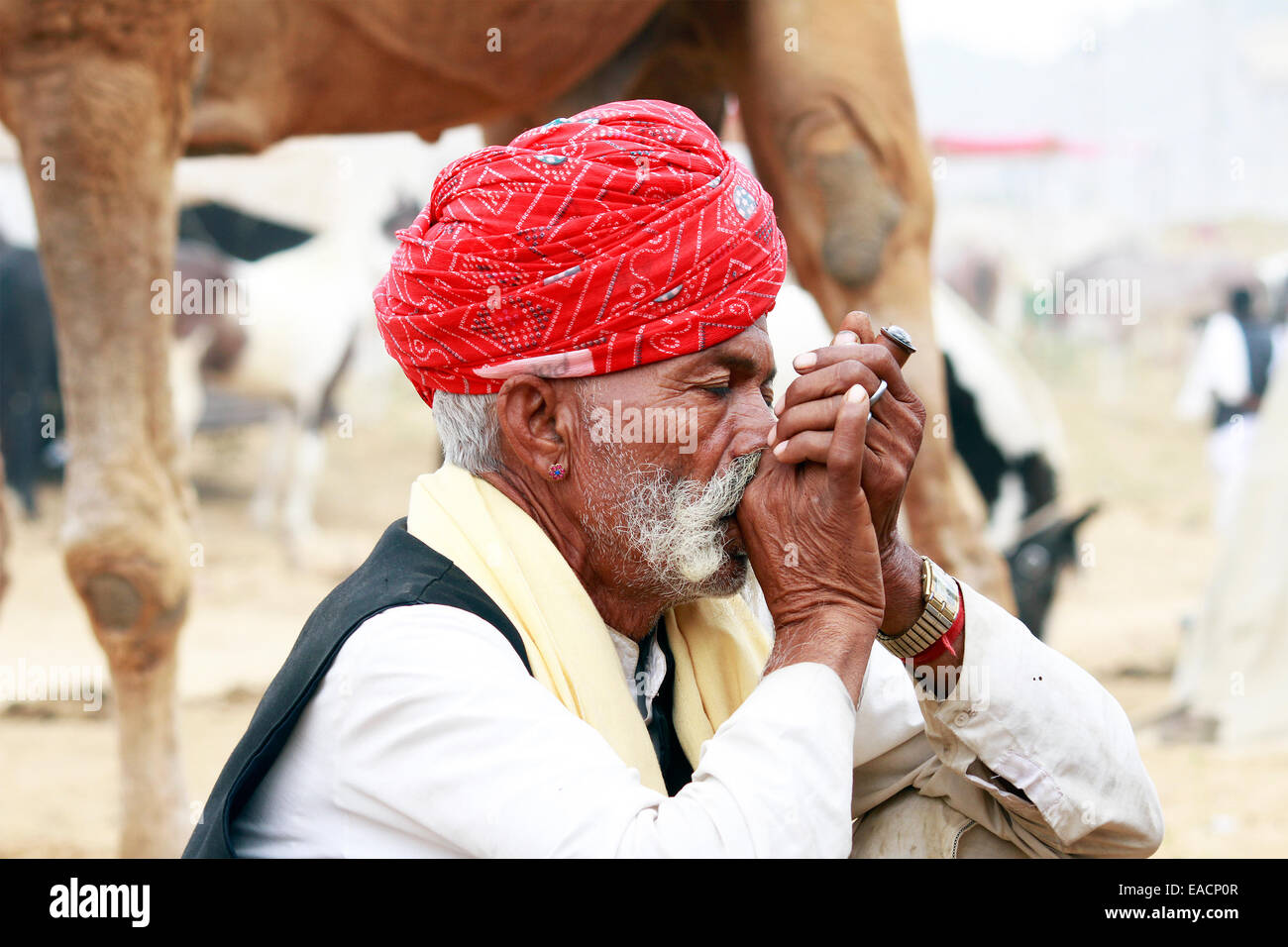 Annuale, Asia, camel fair, camel trader, dawn, orecchini, equo, India, maschio, uomo, mattina, baffi, ritratto, pushkar, rajasthan Foto Stock