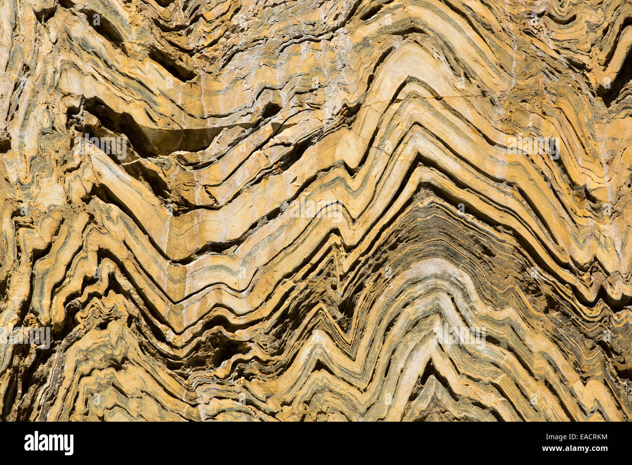 Ripiegate rocce metamorfiche in Kings Canyon National Park, California, Stati Uniti d'America Foto Stock