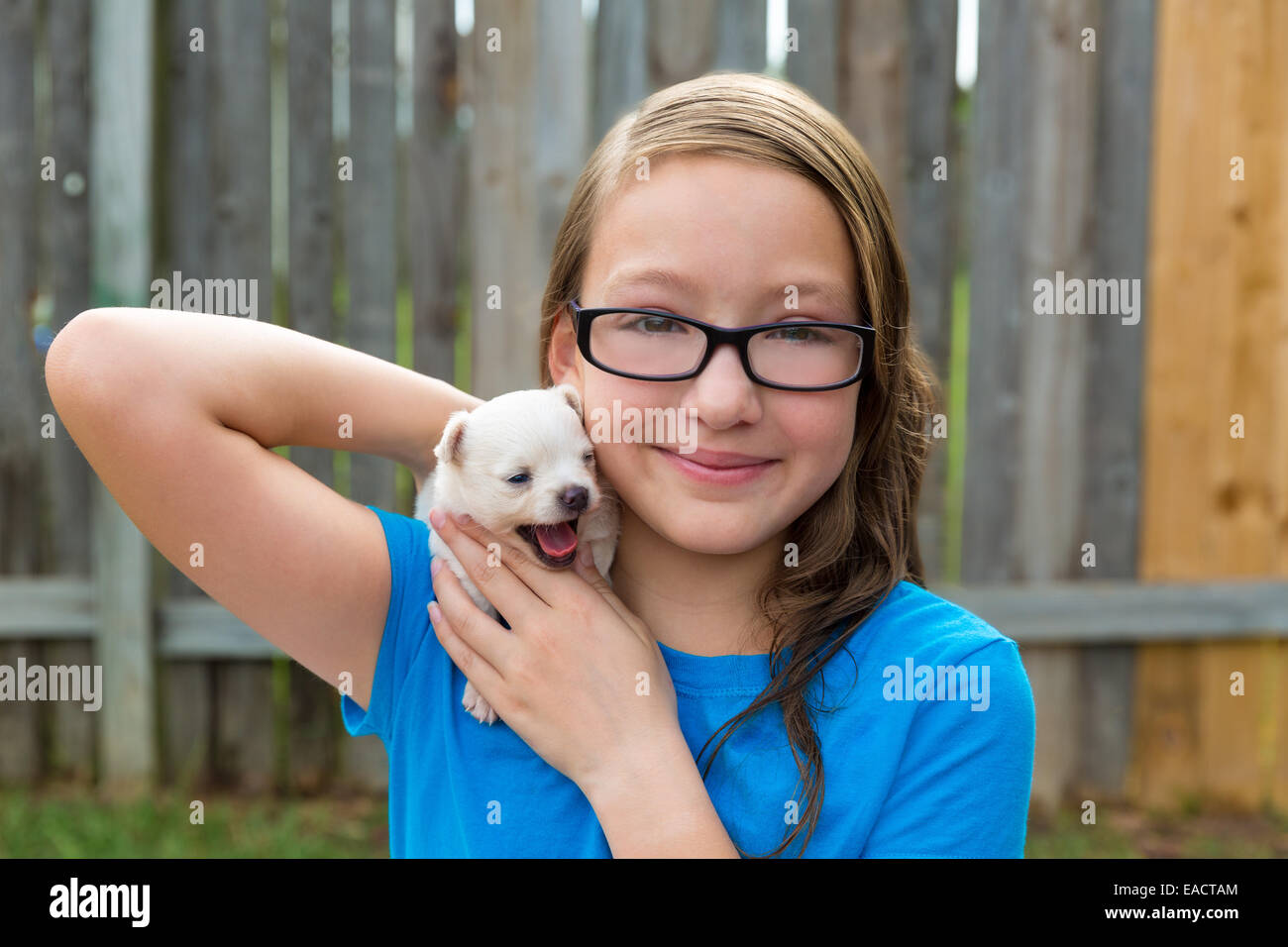 Kid ragazza con pet cucciolo chihuahua giocando felice con doggy outdoor Foto Stock