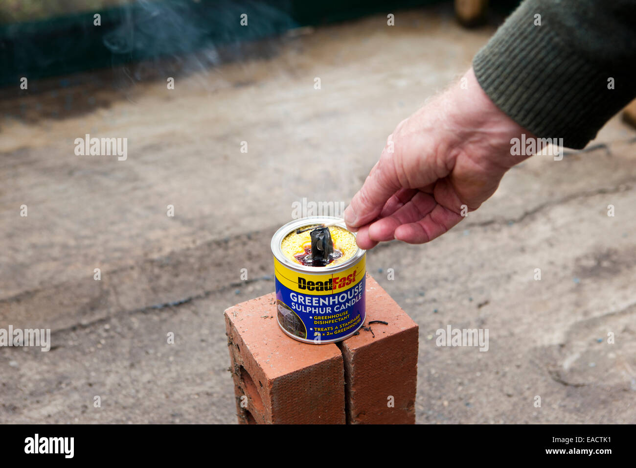 La pulizia di una serra con una bomba fumogena,granata,zolfo,candela, per uccidere gli insetti. Foto Stock