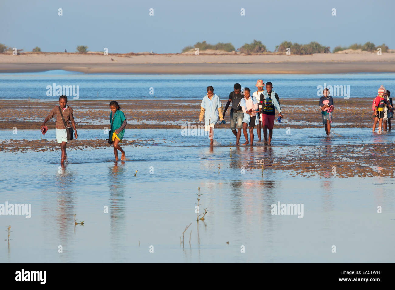 Il popolo malgascio attraversando l'acqua, Morondava, provincia di Toliara, Madagascar Foto Stock