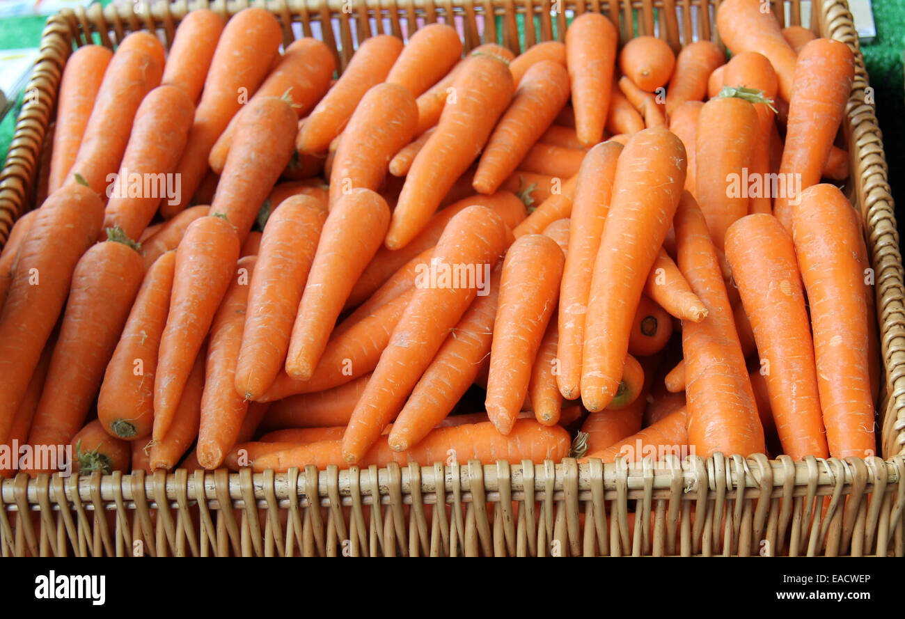 Un cestello di fresco raccolte carote vegetali. Foto Stock