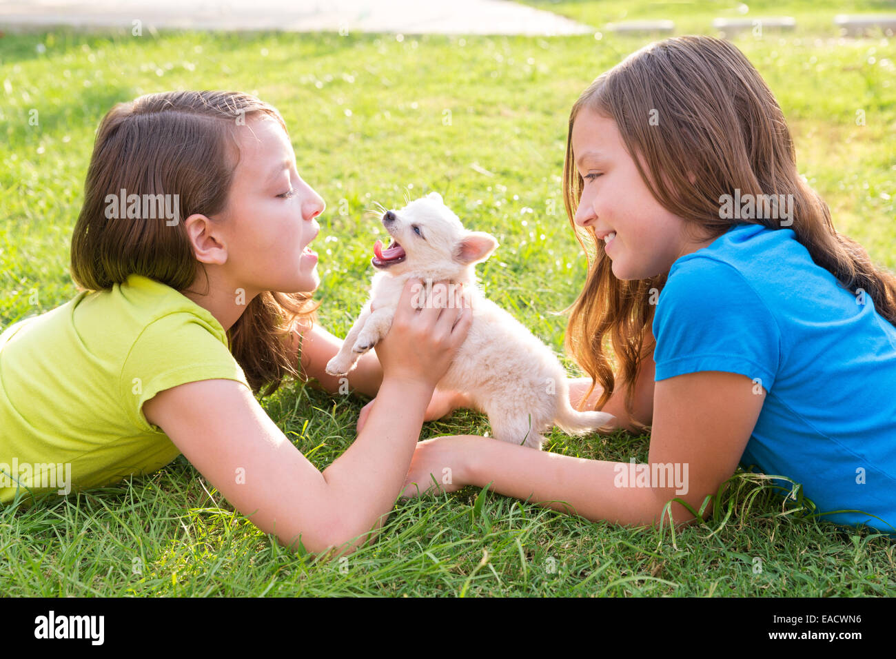 Sorella gemella kid ragazze e di cucciolo di cane felice giocando con pet giacente in backyard prato Foto Stock