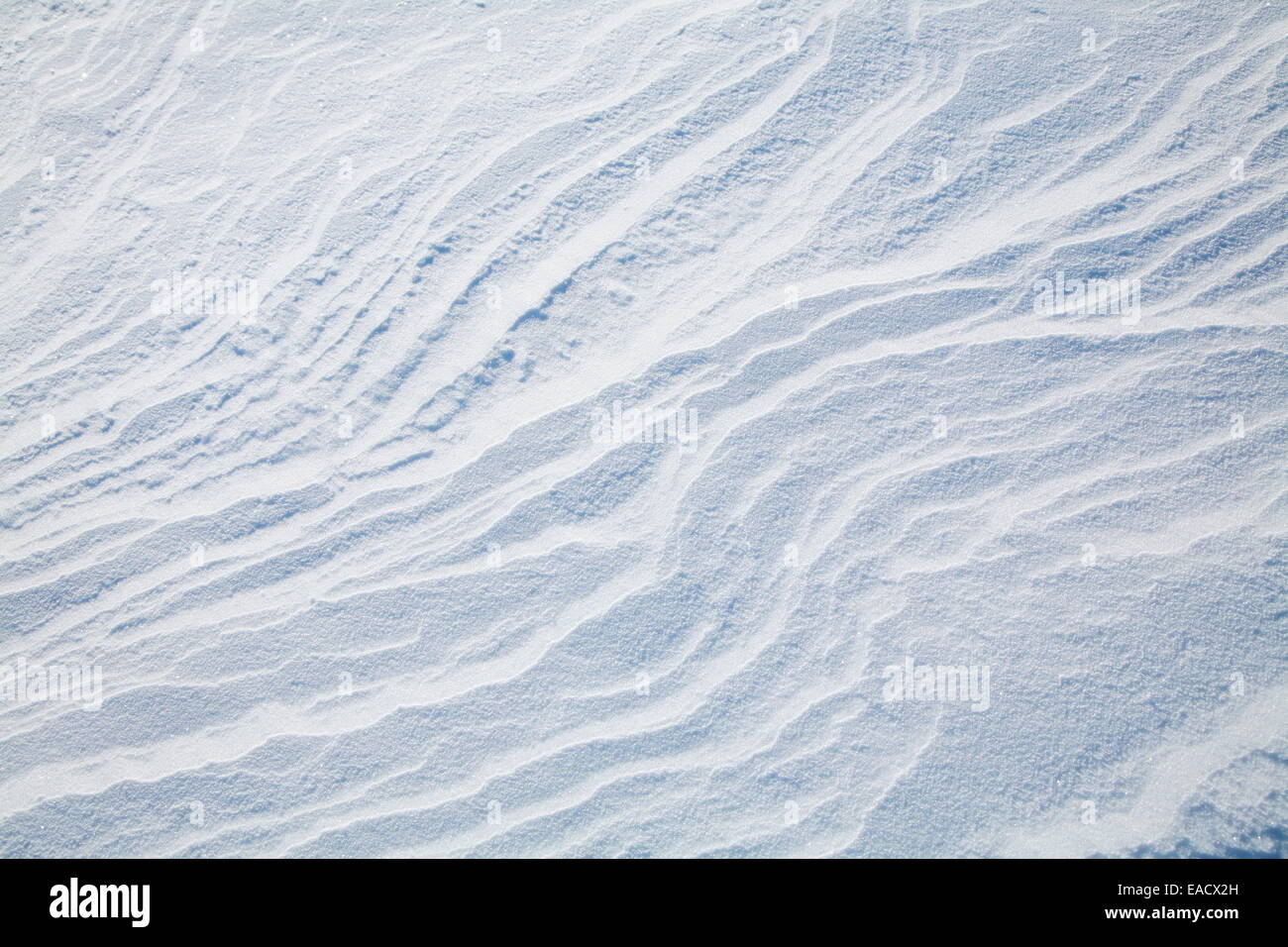 La texture delle derive di neve vicino. Foto Stock