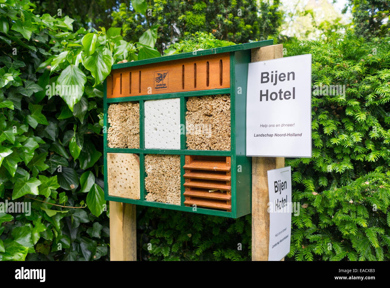Bijen / Bee Hotel in Amsterdam Olanda Foto Stock