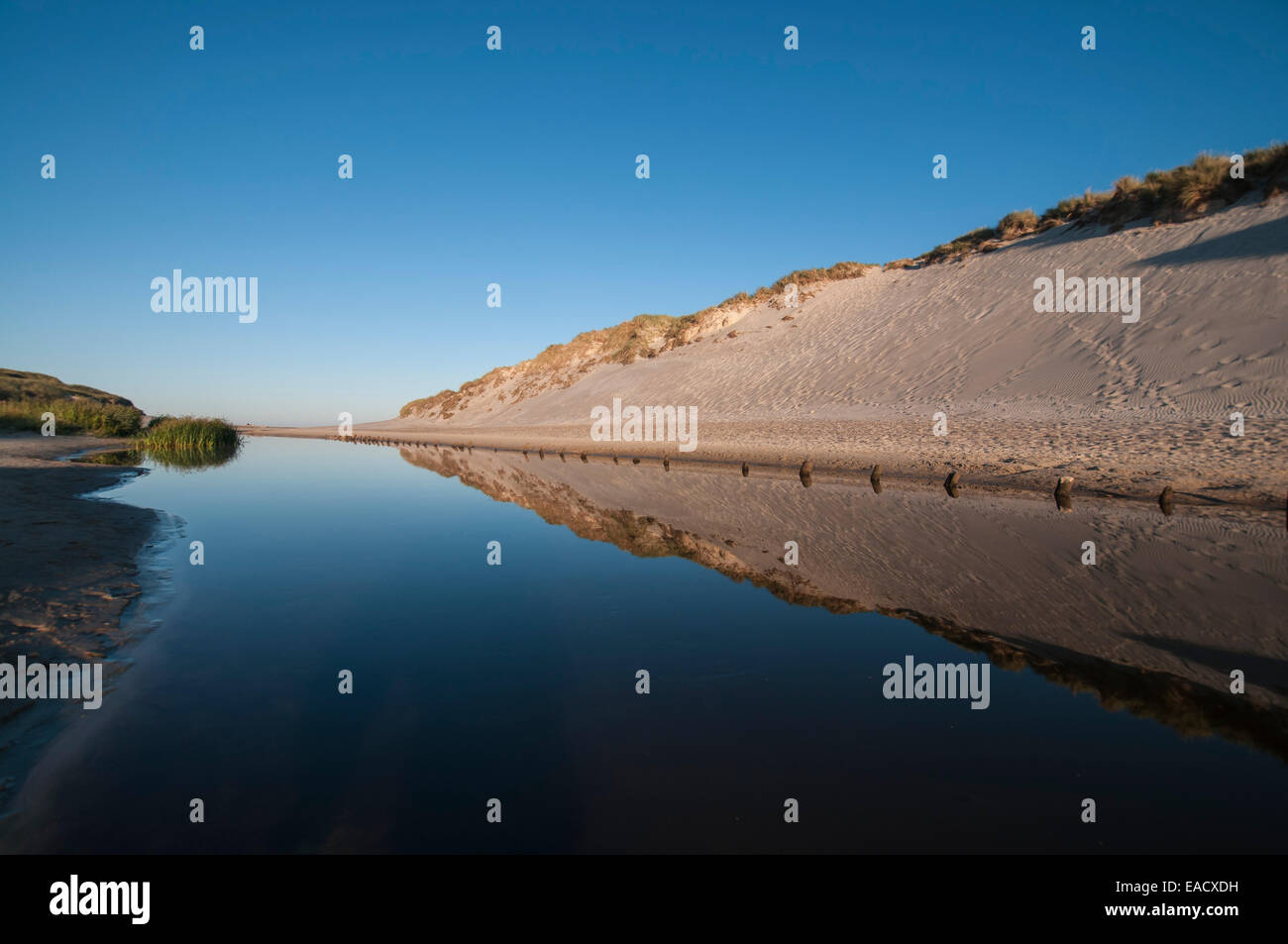 La mattina presto umore presso il fiume di Henne Mølle Å, Henne Strand, Jutland, Danimarca Foto Stock