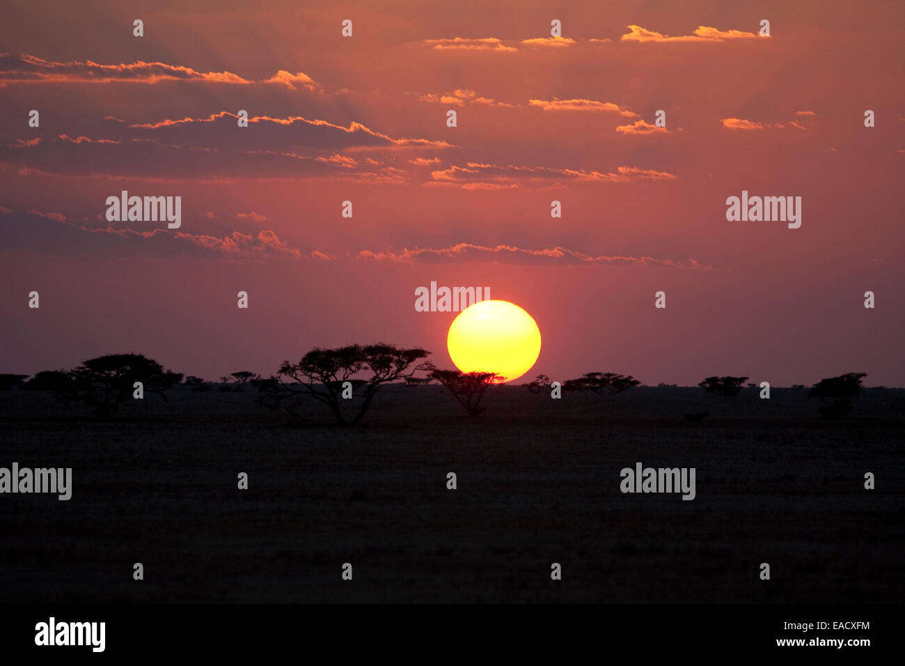 Tramonto nel deserto, Bar Hiqman, Oman Foto Stock