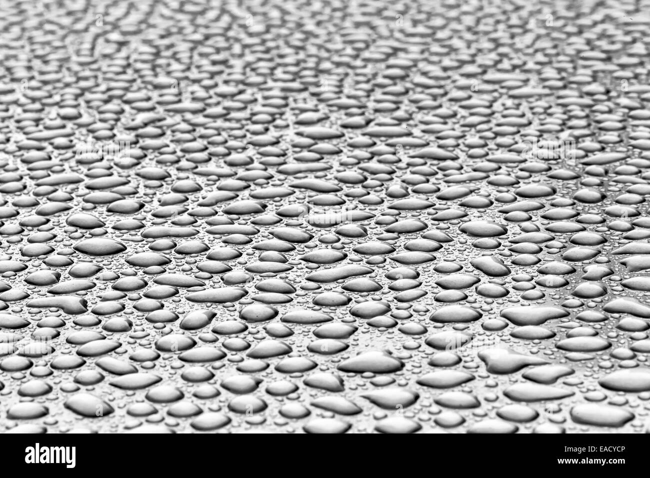 Gocce di pioggia sulla vernice dell'auto Foto Stock