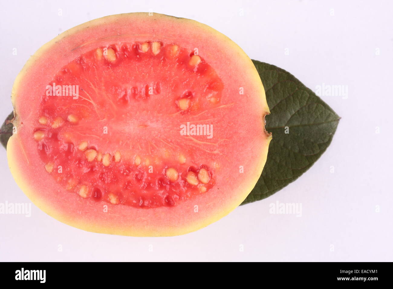 Sezione trasversale di organico fresco frutto guava. Foto Stock