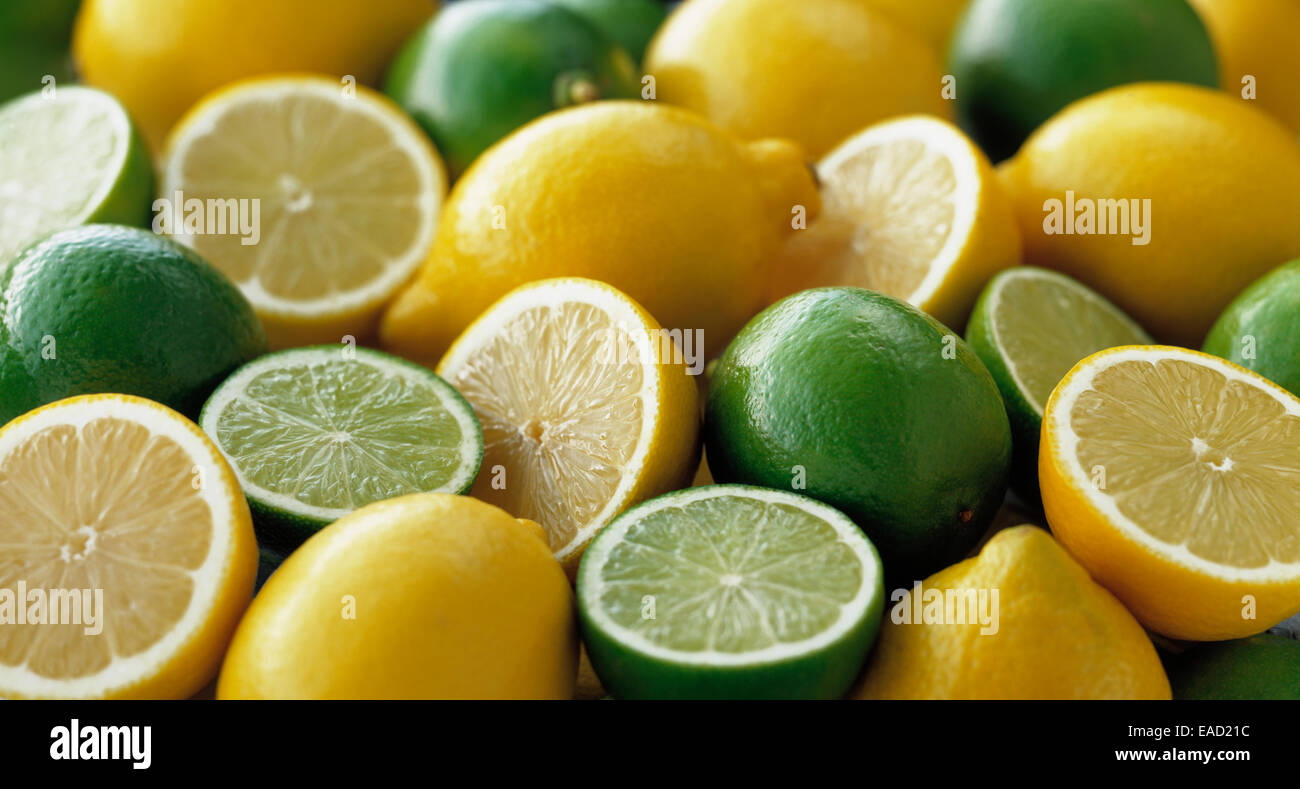 Limone, Citrus limon, giallo oggetto. Foto Stock