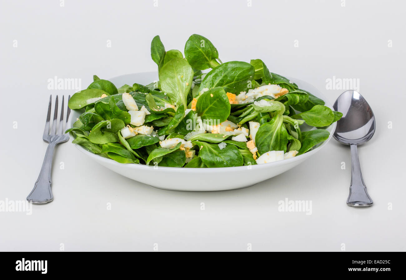 La valeriana con uovo e cipolla Foto Stock