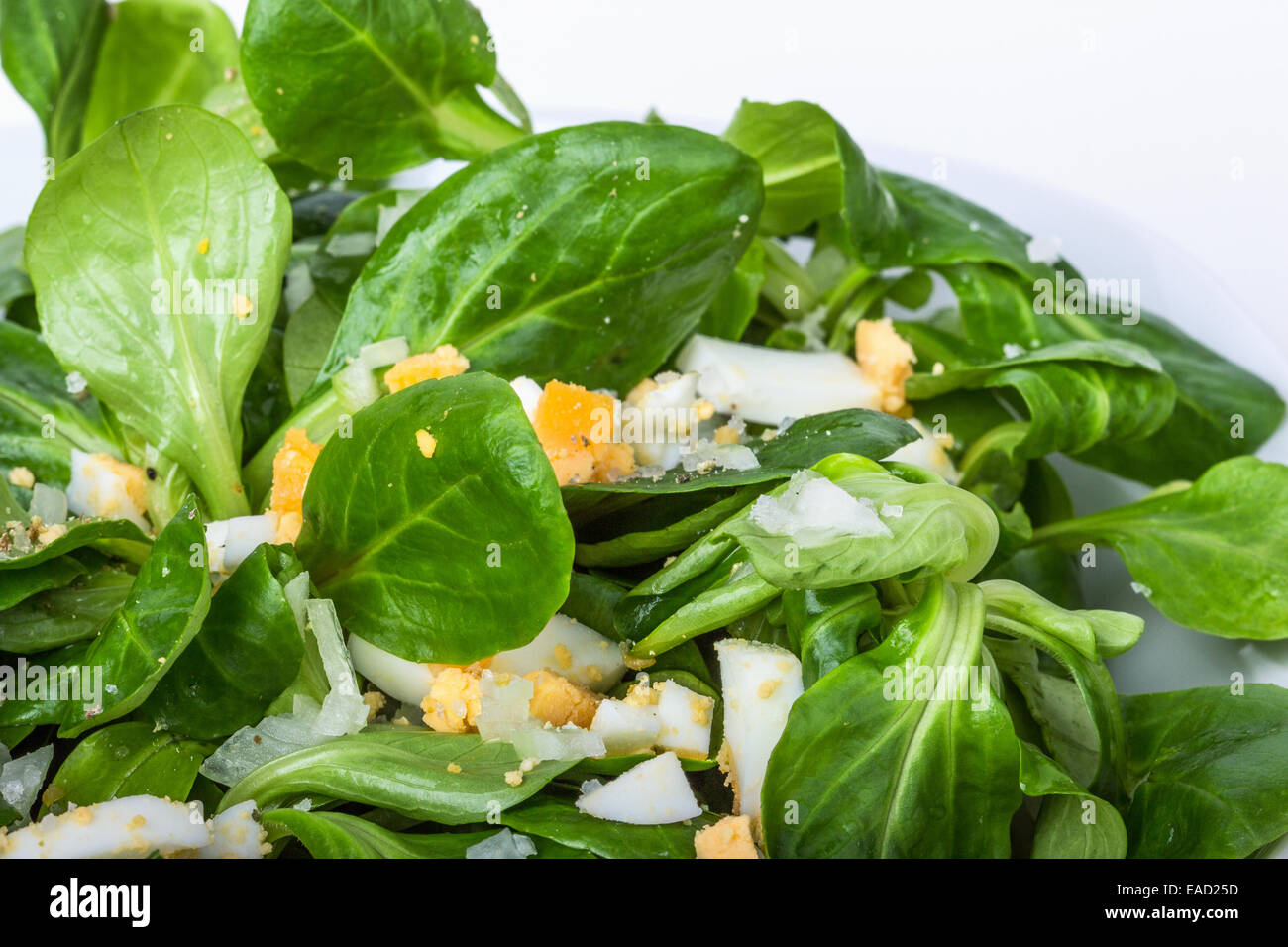 La valeriana con uovo e cipolla Foto Stock